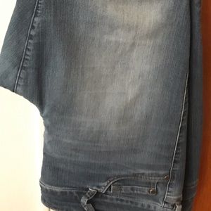 Torrid Jeans